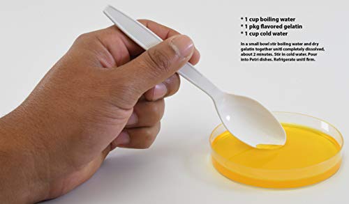 image for Hardy Diagnostics Petri Dish, Empty, with Stacking Ring, Sterile, Poly