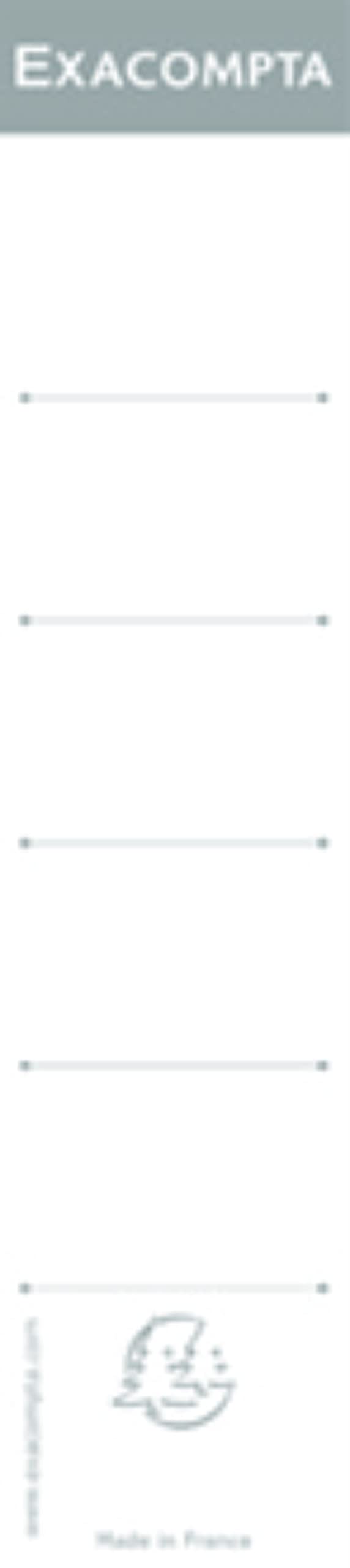 Exacompta - Ref 5358E - Spine Labels for Lever Arch Files (Pack of 10) - 185mm Height, Suitable For Files With A 50mm Spine, Self-Adhesive Labels - White