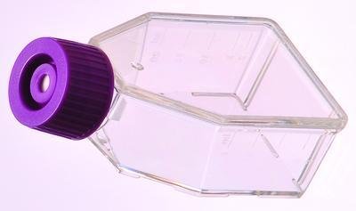 VWR 10062-884 Cell Culture Flask with Vented Cap, 850mL Capacity (Pack of 18)