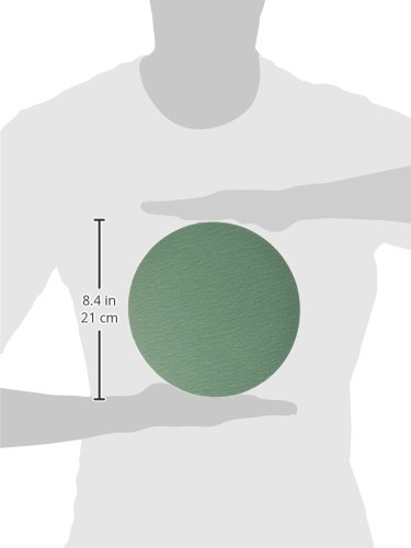 Sunmight 01506 8" No Hole PSA Disc (Film Grit 80)