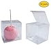 Muse's Mode 30Pcs Clear Candy Apple Boxes With Hole Top | 4