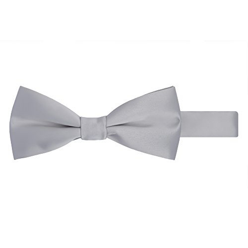 Jacob Alexander Solid Color Men's Pretied Banded Bowtie - Platinum Silver