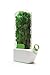 Prepara Herb Savor,Clear, 1 count