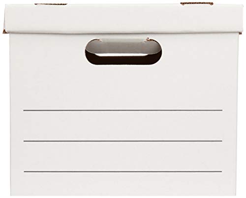 3 AmazonBasics+Storage+Filing+Lift+Off+12+Pack