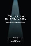 Thinking in the Dark: Cinema, Theory, Practice by 