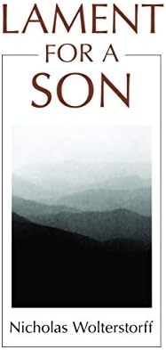 Lament For A Son Wolterstorff Nicholas Amazon Sg Books