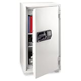 Sentry Lock Boxes SentrySafe fire chests,safes, Light Gray