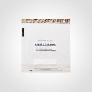 9x9 Inch 10 Strap Small Deposit Bag Clear Plastic (Package of 250)