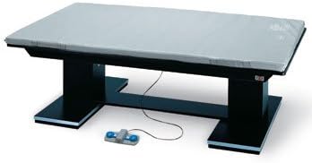 Hausmann Dual Lift Powermatic Electric High-Lo Mat Platform Table with Black Laminate Top - 4'W X 7'L