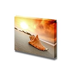 Canvas Prints Wall Art - Shell on Sand Under Sunset Sky | Modern Wall Decor/Home Decoration Stretched Gallery Canvas Wrap Giclee Print & Ready to Hang - 12" x 18"