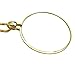 PROW® Golden 1-3/4 Inch Optical 5X Pendant Necklace Magnifier Magnifying Glass Loupe for Reading Fine Print, Zooming, Increase Vision and Jewelry Inspection
