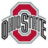 NCAA Ohio State Buckeyes Wall Accent 3 Large Wall Decal Stickers