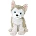 Ty Juneau - Dog