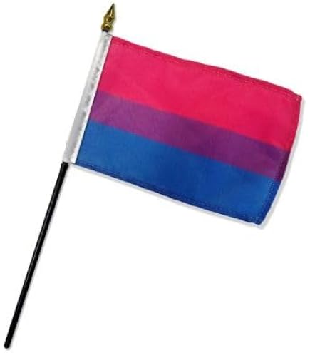Trade Winds Progress Pride 4x6 Desk Flag Set – Plastic Stick Staff, 100D Polyester, USA Theme, Miniature