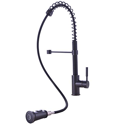 Pre-rinse Spring Kitchen Faucet with Pull Down Sprayer Delle Rosa Durable and Sturdy Single Handle Brushed Nickel Kitchen Sink Faucet