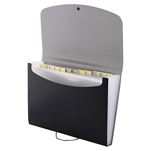 D.RECT Filing Cabinet Document Holder | Expandable Briefcase | Document Sorter | A4 Document Sorter Accordion Binder | 12 compartments A4 | Perfect for Office or Home | Black