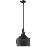 1-Light Pendant in Matte Black