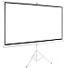 Best Choice Products 100in Portable 16:9 Projection Screen w/ 87x49in Foldable Stand, 1.3 Gain, White