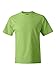 Hanes mens 5180 fashion t shirts, Lime, XX-Large US