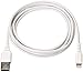 Amazon Basics MFi-Certified Lightning to USB A Cable for Apple iPhone and iPad - 6 Feet (1.8 Meters) - 12 -Pack - White