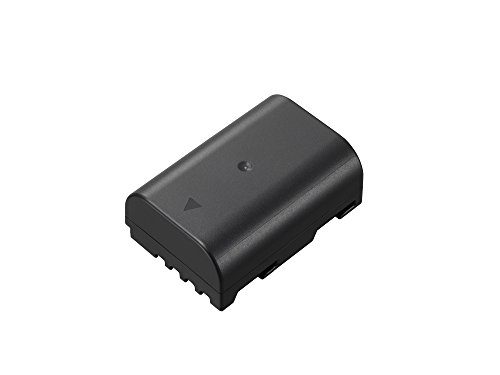 Panasonic DMW-BLF19 Battery
