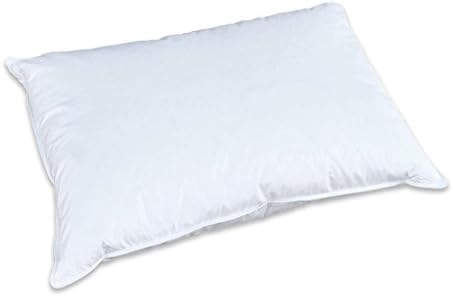 Creative Living Solutions Natural Goose Feather Down 100% Cotton Case Pillow Queen Size 20"x30"