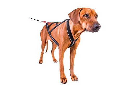 Non-stop dogwear X Back Harness for Pulling, Sledding, Canicross, Bikejoring & Mushing (6) - Thumbnail 3