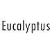 Ola Prima Eucalyptus Essential Oil Therapeutic Grade for Aromatherapy, Diffuser, Hydrates Skin, Soothes Dry, Dropper – 4 fl oz
