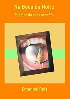 Livro Na Boca Da Noite