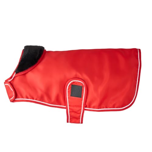 Pet Passion Breeze II Dog Raincoat, Red, Large