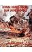 German Remote-Control Tank Units 1943-1945: (Schiffer Military/Aviation History) by