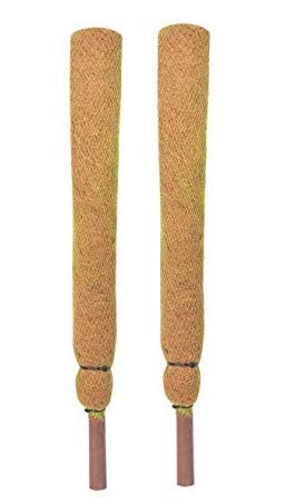 COIR GARDEN Coir Moss Stick/Coco Pole for Climbing Money Plants, Indoor and Outdoor Plants, 2.5 ft, 76 cm - Set of 2