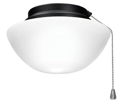 Amazon Com Nutone Lk50dbq Light Kit With Outdoor Damp Rated