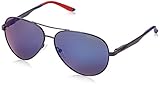 Carrera CA8010S Polarized Aviator Sunglasses