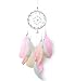 Tellpet Dreamcatcher Handmade Dream Catchers for Bedroom, Girls Gifts, Pink Colorful Feather