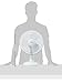 Hurricane 736549 Portable Desk Fan, 12-Inch, White