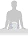 Dixie Everyday Paper Plates, Dinner Size (10 1/16 inches) - Pack of 80 Count