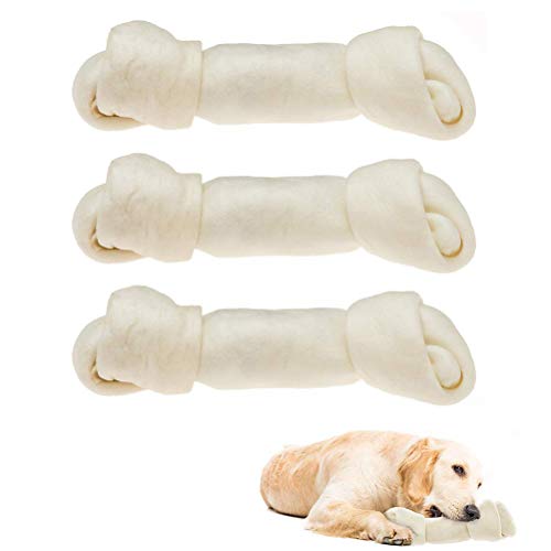 needed something to occupy the pack with the rain