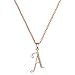 Paialco 14K Rose Gold Plating Sterling Silver Initial Alphabet A Pendant Necklace 18