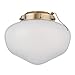 Westinghouse 7784600 LED Schoolhouse Indoor/Outdoor Energy Star Ceiling Fan Light Kit, Oil Rubbed Bronze Finish with White Opal Glass