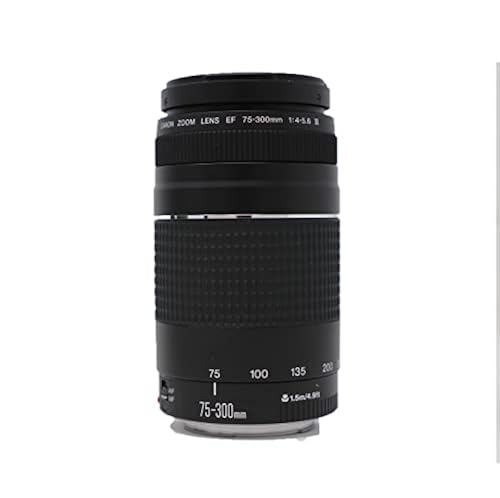 Canon EOS 5D Mark IV DSLR Full Frame Camera with EF 50mm STM