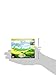 Stevita Organic Stevia - 50 Packets - Stevia & Erythritol All-Natural Sweetener, No Calories - USDA Organic, Non-GMO, Vegan, Keto, Paleo, Gluten Free - 50 Servings