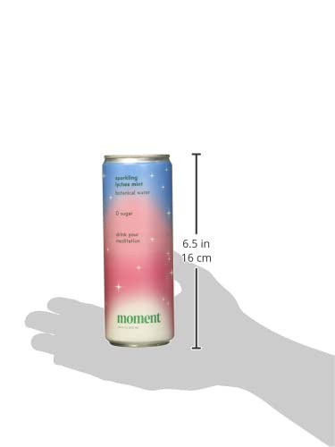 MOMENT LYCHEE MINT BOTANICAL WATER, 11.5 FZ