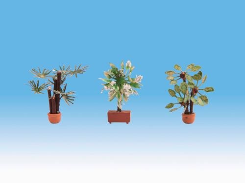Noch Mediterranean Plants 3 pieces