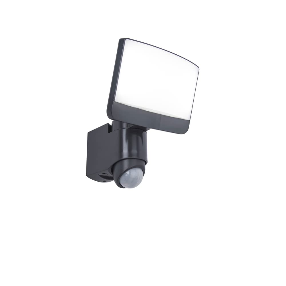 Eco Light Sunshine 7625601345 Rotating Head 17 W LED 1200 Lumen 5000 Kelvin Anthracite