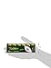 GoGreen Power (24013) Eco Friendly Alkaline C Batteries - No Lead, Cadmium or Mercury - Pack of 12