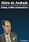 Livro Amar, verbo intransitivo
