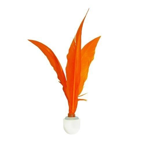 Funsparks Jazzminton Paddle Extra LED Birdies Game