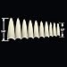 VIVACE Natural Long Stiletto 500pcs Artificial Fake Gel Nail Tips,10 Sizes 28510 For Nail Salon