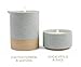 Paddywax Candles Mesa Collection Scented Candle, 3.5-Ounce, Eucalyptus & Sandalwood